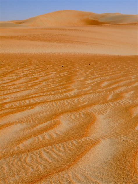 Discover the Enchanting Liwa Oasis