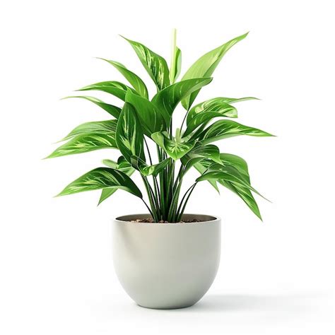 Premium Photo | Photo of modern living room design with indoor plants