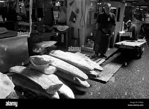 Tsukiji Central Fish Market, Tokyo, Japan Stock Photo - Alamy