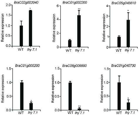 qRT-PCR analysis. Data shown represent average ± SE of three biological... | Download Scientific ...