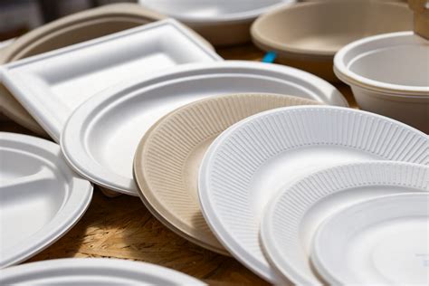 The Best Disposable Plates | Reviews, Ratings, Comparisons