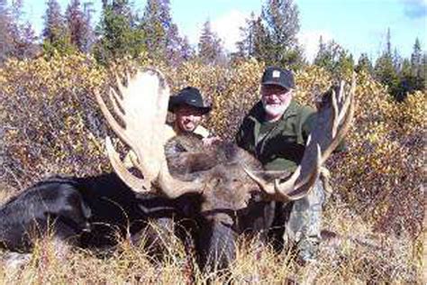 moose-4 - Just For Hunting