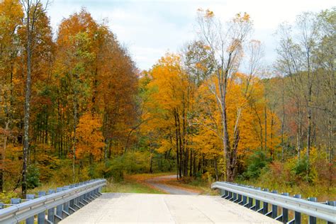 Fall in the Laurel Highlands | Jon Dawson | Flickr