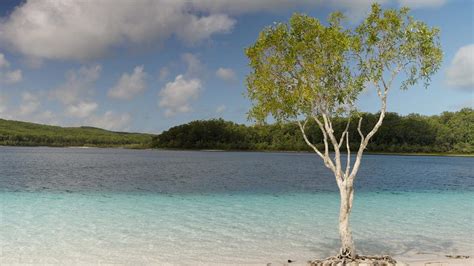 It's Official: World Heritage-Listed Island K'gari Has Reclaimed Its ...