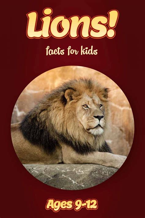 Lion Facts – Kids Non Fiction Book (Ages 9-12) – clouducated