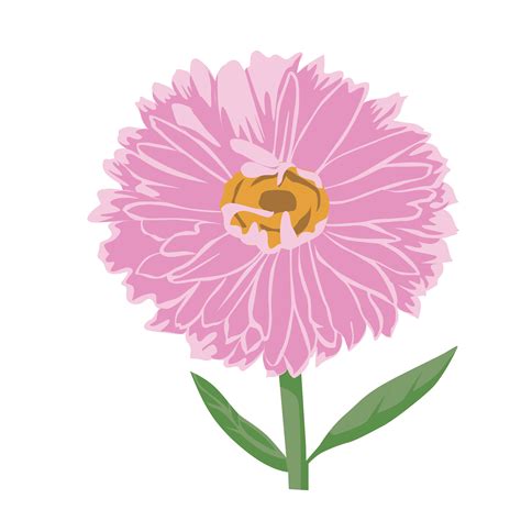 Aster Flower color clip art Design 3161057 Vector Art at Vecteezy