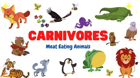 Carnivore Animals || Learn Carnivorous Animals Name || Type of Animals || Meat-eating Animals ...