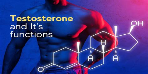 Testosterone and Its Functions