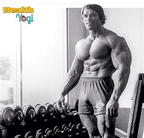 Arnold Schwarzenegger Workout Routine | Train A Like A Arnold - Health Yogi