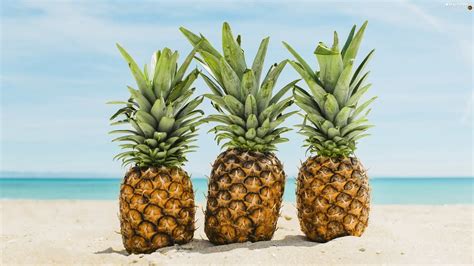 Sand, Three, Pineapples - For desktop wallpapers: 2560x1440