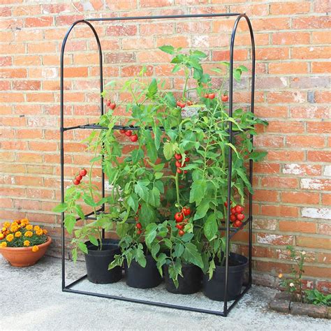 The Instant Tomato Mini Greenhouse1 | Mini greenhouse, Plant supports ...