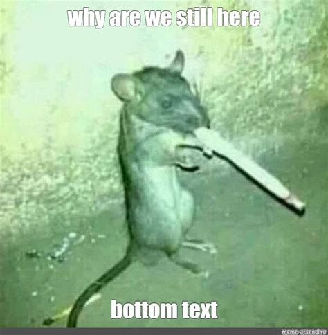 Create meme "rat, mouse with a cigarette, rat smokes" - Pictures - Meme-arsenal.com