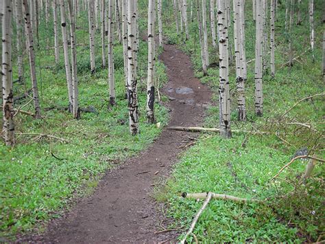 Hiking Mount Elbert - Colorado Hiking Travel Guide