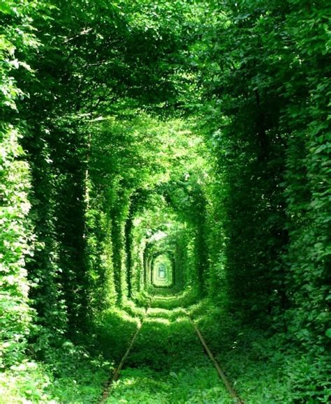 Economics Times: Tunnel of Love trains tunnel are the most romantic in the world.