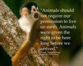 106 best Animal quotes and animals lovers' quotes images on Pinterest