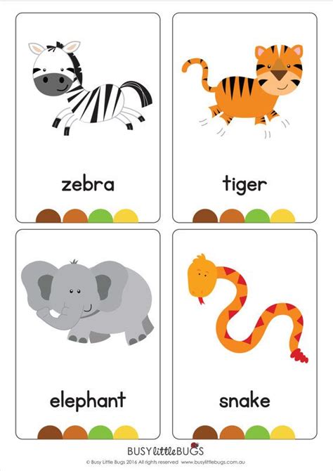 Brand new design Jungle flash cards! | Animales en ingles, Ingles para preescolar, Aprender ...