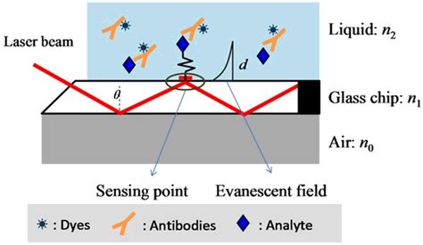 Biosensor - Principle, Components, Types & Their Applications