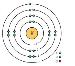 What is the Bohr model of potassium?