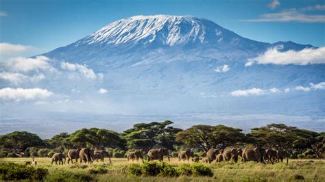 KILIMANJARO HEIGHT – How tall is Mount Kilimanjaro?