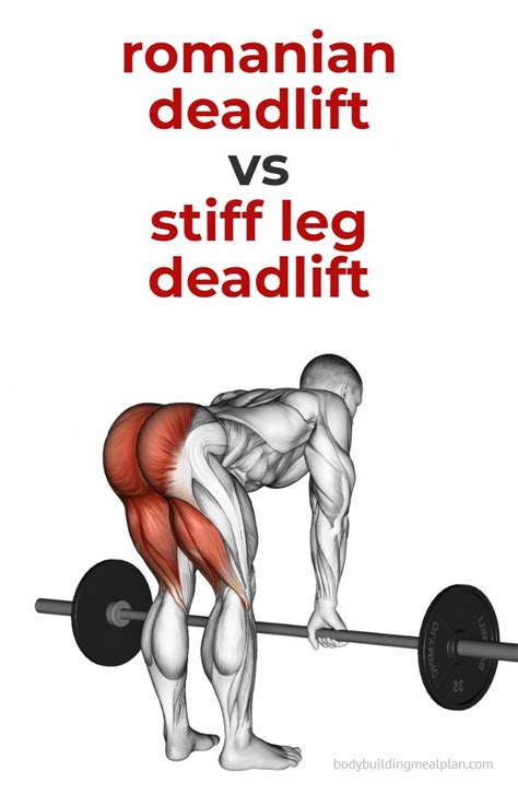 Romanian Deadlift vs Stiff Leg Deadlift: Differences & Muscles Worked ...