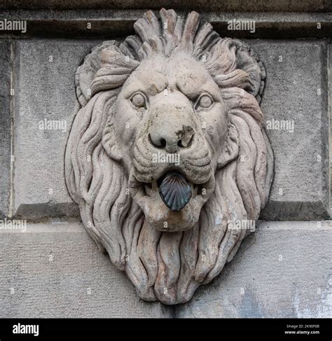 A stone sculpture of medieval lion head Stock Photo - Alamy