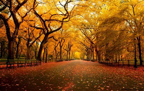 Autumn Scenes Desktop Wallpaper | Best HD Wallpapers