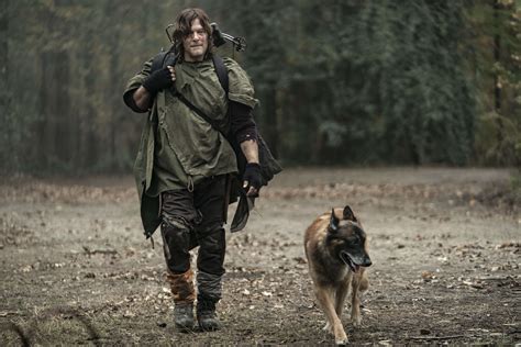 The Walking Dead to explore origin of Daryl's dog in final Season 10 ...