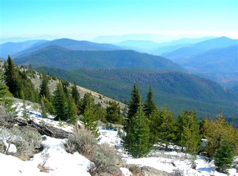 Colville National Forest – HIke of the Week