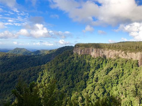 Escape: Springbrook National Park – Queensland, Australia | National parks, Australia ...