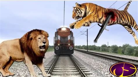 New Trend Angry Hippo vs Lion Fight On Track Trying to Stops the Train | Kinemaster Editing ...