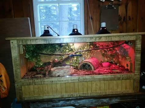 15+ DIY Reptile Enclosure Plans [Free] - MyMyDIY | Inspiring DIY Projects