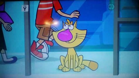 "Nature Cat" Theme Song (Introduction) - YouTube