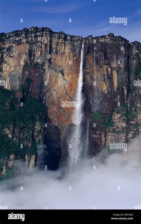 ANGEL FALLS (height 990m) World's tallest single drop falls Canaima NP, Venezuela Stock Photo ...