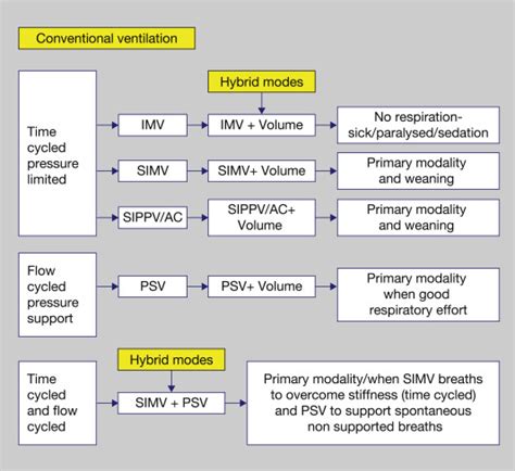 Which ventilator mode? A practical framework; the basics - Paediatrics ...