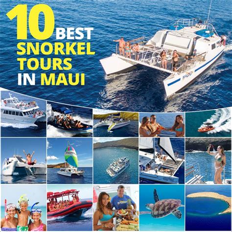 Top 10 Maui Snorkeling Tours - Hawaii Discount Activities