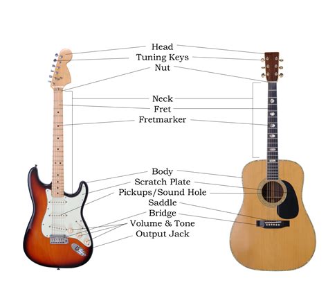 Guitar HomeStudy: Anatomy of the Guitar