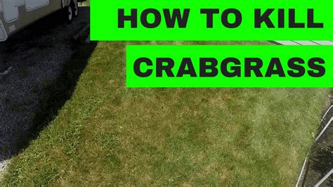 How to Kill Crabgrass in your Lawn - YouTube