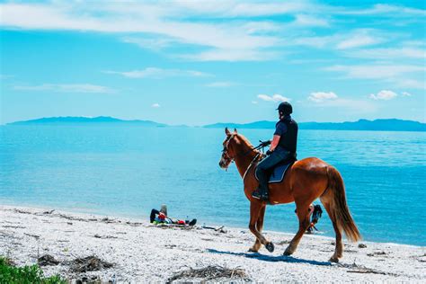 Where to Go Horseback Riding in the Caribbean