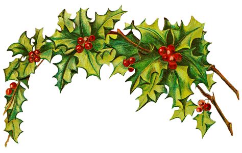 Christmas Holly Border Free Clipart 2023 New Top Popular Incredible ...