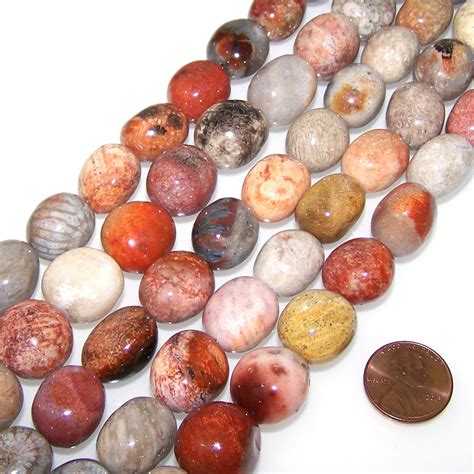 1 Strand of Semiprecious Gemstone Large Nugget Beads - Fossil Coral