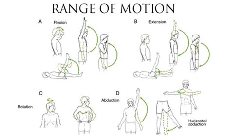 Upper Extremity Range Of Motion Exercises