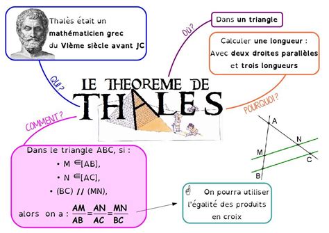 Théorème de Thalès, en 4ème | Théorème de thalès, Leçon de maths ...