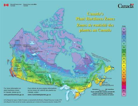 Canada's Plant Hardiness Site in 2020 | Plant hardiness zone map, Plant ...