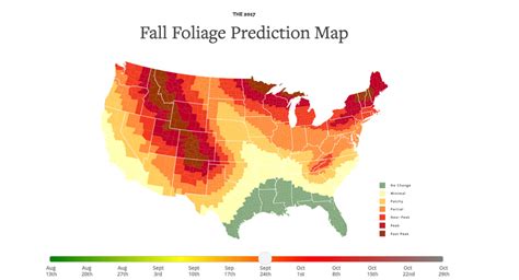 This Fall Foliage Map Is the Best Way to Track the Leaves This Season