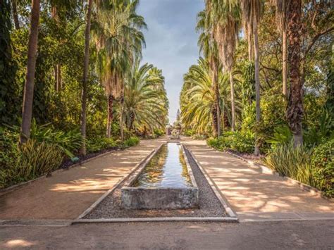 Photographs of the Botanical Garden of Culiacan, Sinaloa 2020 ️