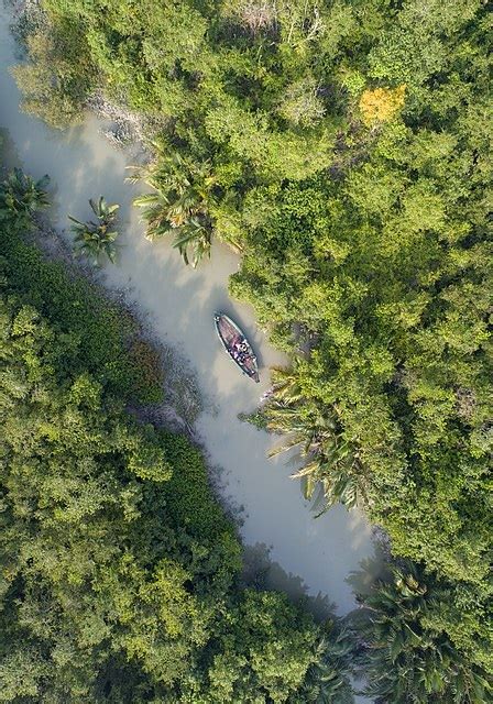 Check Out Everything About Sundarban Mangrove Forest