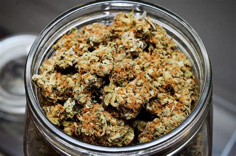 Private Reserve Lamb's Bread, Sativa | Dank Depot | Flickr