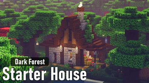 Minecraft | How to Build a Starter House in the Dark Oak Forest ...