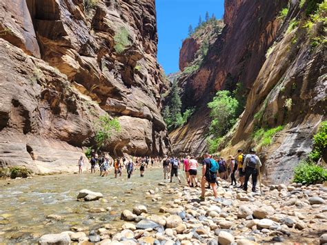 6 Zion Day Hikes That Avoid The Crowds