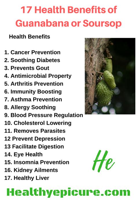 Health Benefits Guanabana Fruit - health benefits